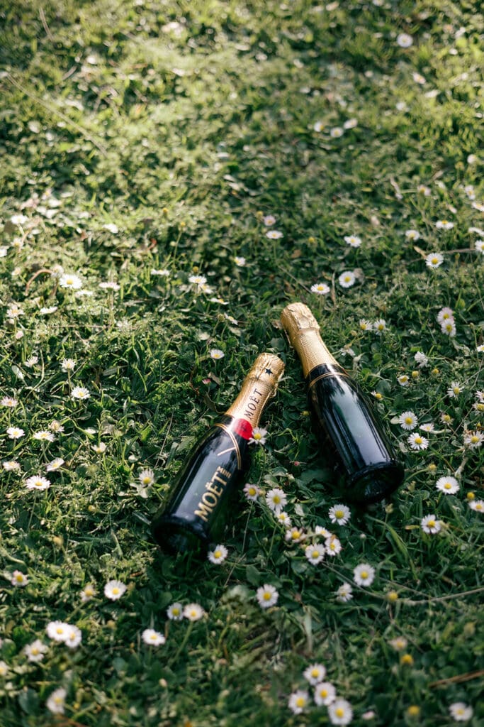 champagne toast after elopement
